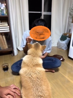 f0242002_16335270.jpeg