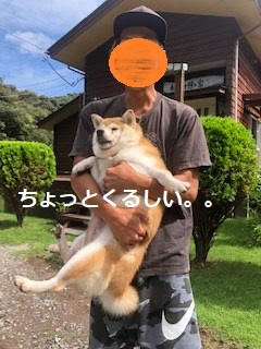 f0242002_16351895.jpeg