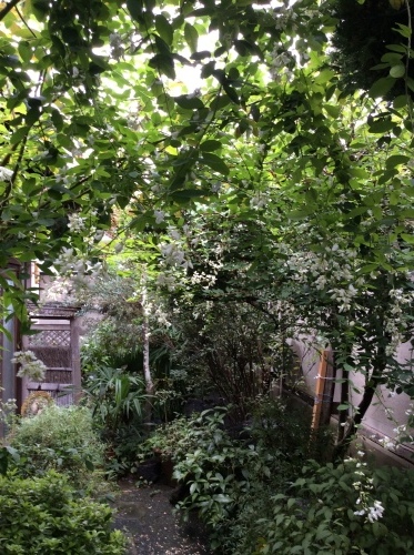 c0301808_14194910.jpeg
