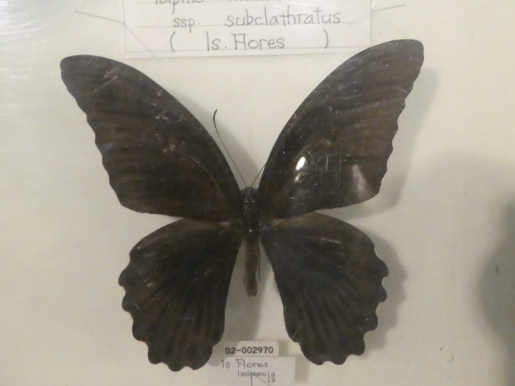 c0062511_12075834.jpg