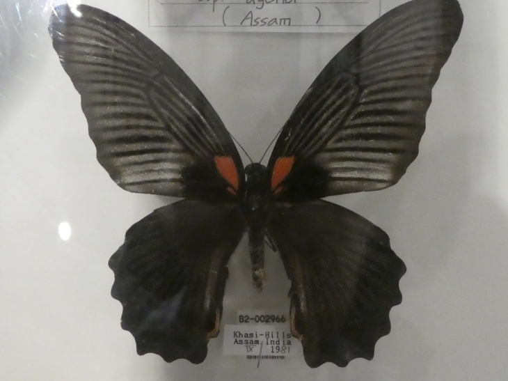 c0062511_12114785.jpg