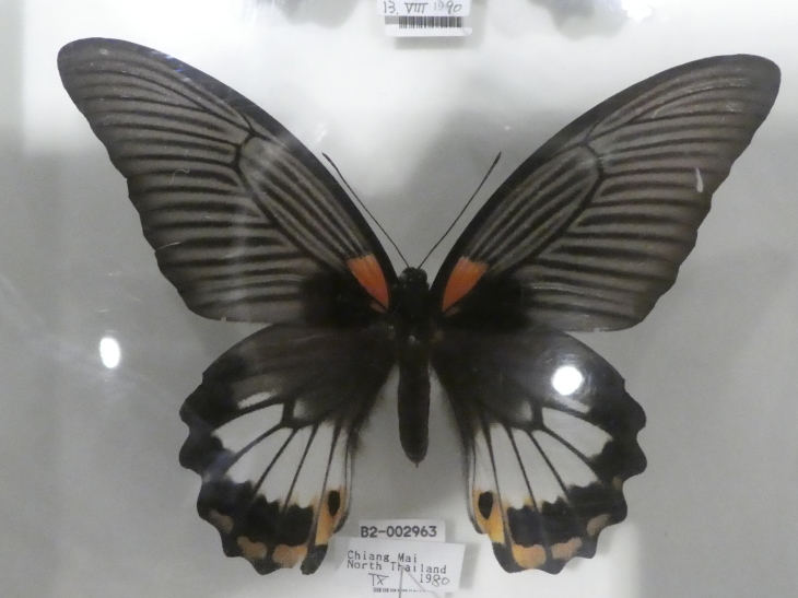 c0062511_12132723.jpg