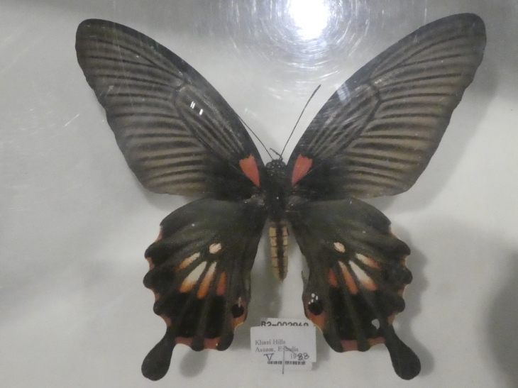 c0062511_12290477.jpg