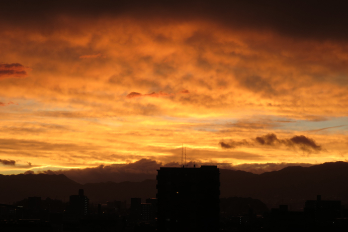 b0130112_20322762.jpg