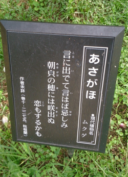 長居植物園（岡）_f0354314_17562361.png