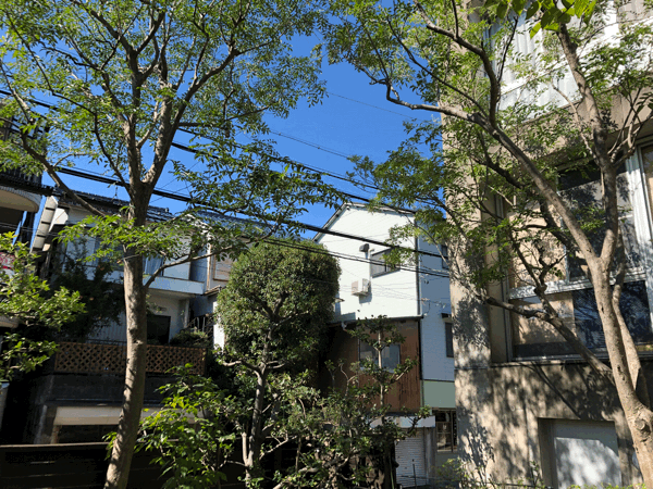 b0268815_21391552.gif