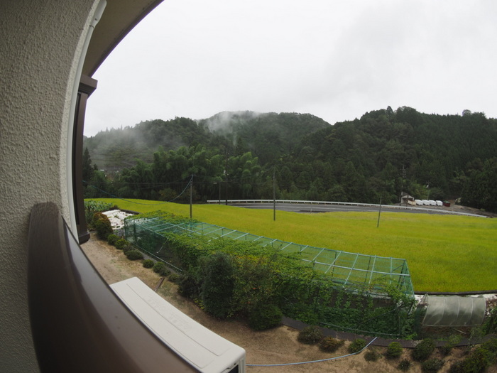 雨の一日_c0116915_00175966.jpg