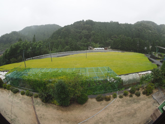雨、時に風雨_c0116915_23394000.jpg