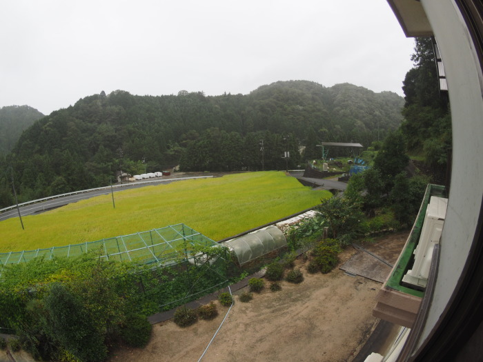 雨、時に風雨_c0116915_23432490.jpg