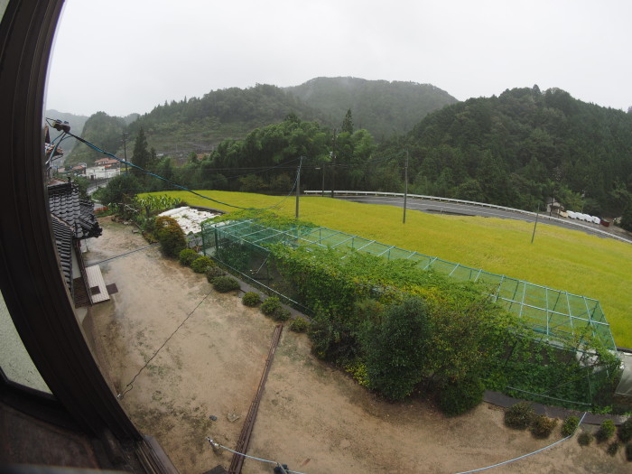 雨、時に風雨_c0116915_23440213.jpg