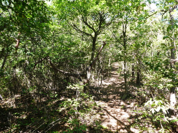 d0170615_14065729.jpg