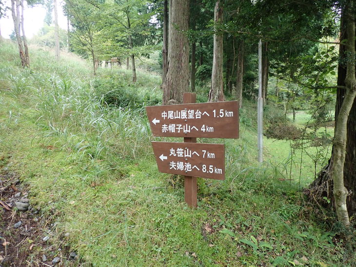 f0193521_20193113.jpg