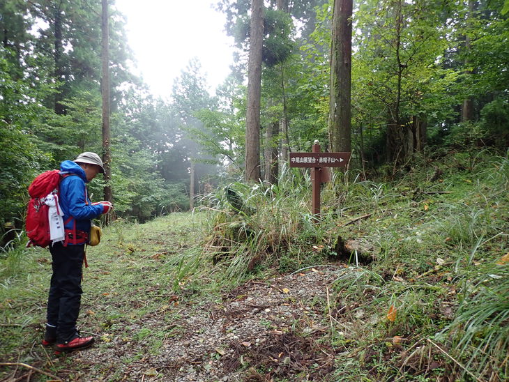 f0193521_20201127.jpg