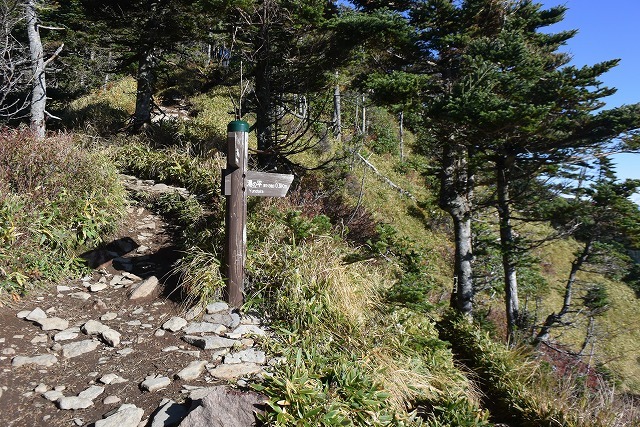 b0341133_11085030.jpg