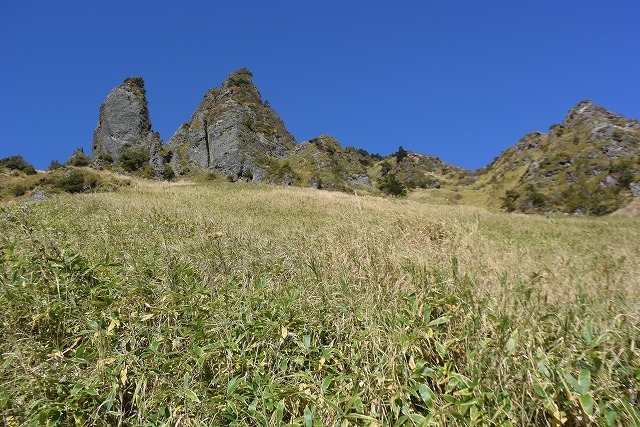 b0341133_11092821.jpg