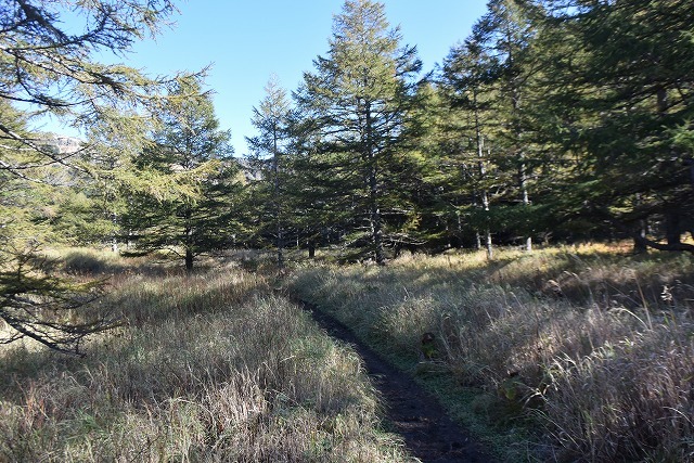 b0341133_11093578.jpg