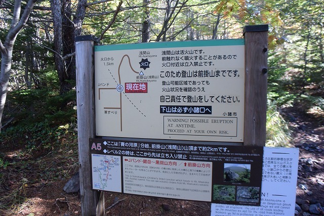 b0341133_11094055.jpg