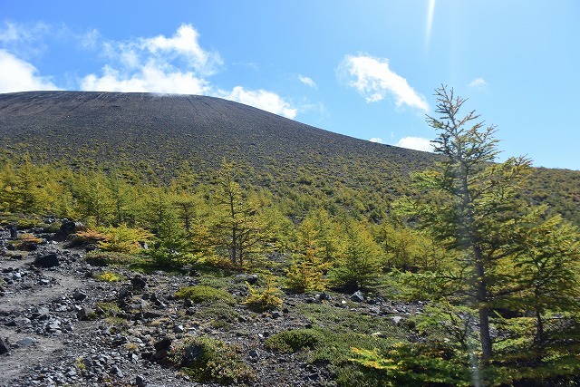 b0341133_11094700.jpg
