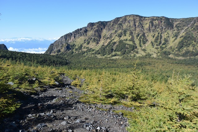b0341133_11095144.jpg
