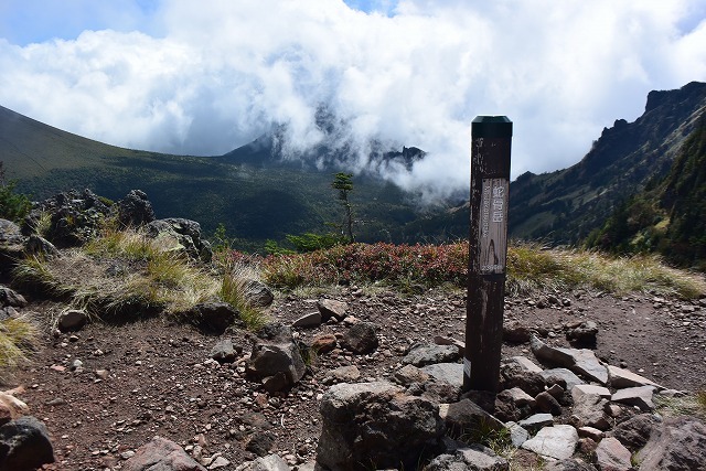 b0341133_11115263.jpg