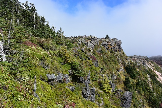 b0341133_11115505.jpg