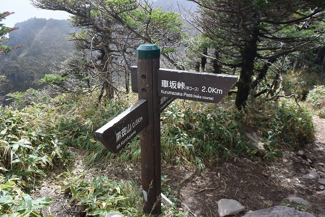 b0341133_11123719.jpg