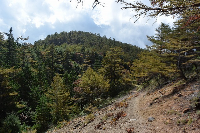 b0341133_11124024.jpg