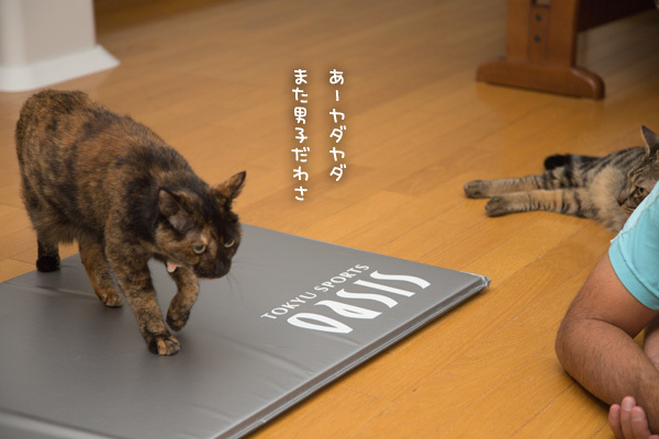 ゆずぽんのよい仕事_d0355333_16571330.jpg