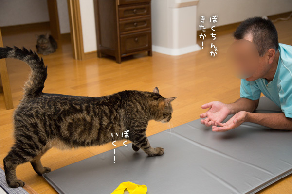 ゆずぽんのよい仕事_d0355333_16571751.jpg