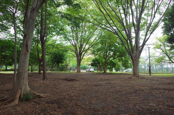 a0287336_22333098.jpg