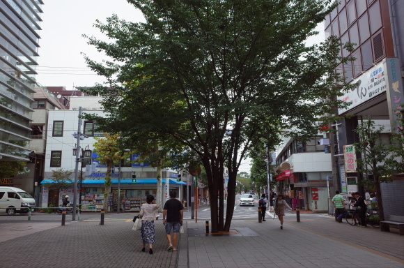 a0287336_22425228.jpg