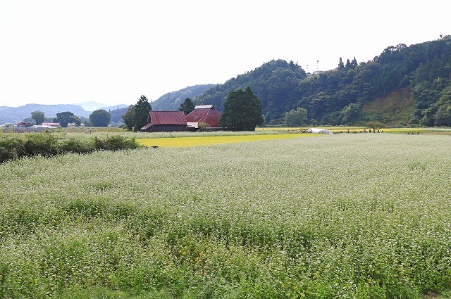 a0242438_20204288.jpg