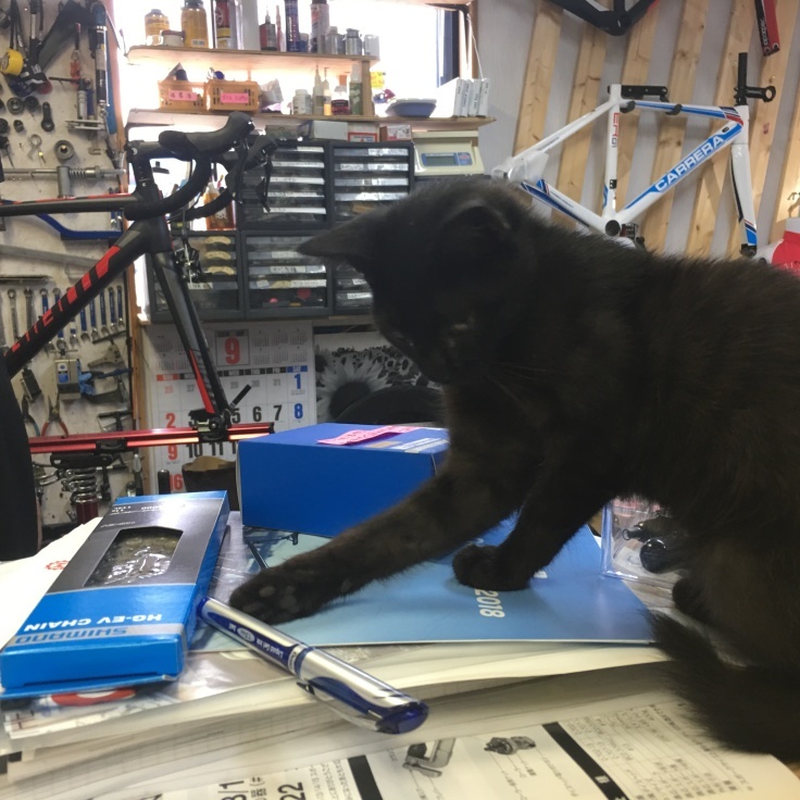黒猫の日_b0060239_13190646.jpeg