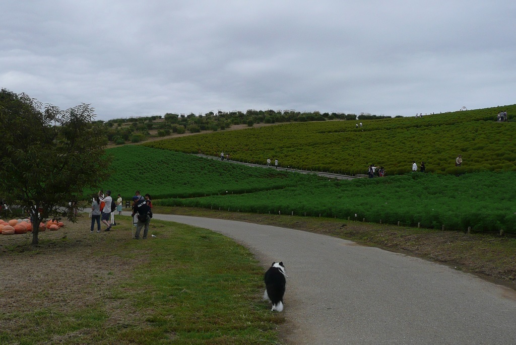c0147241_14573677.jpg