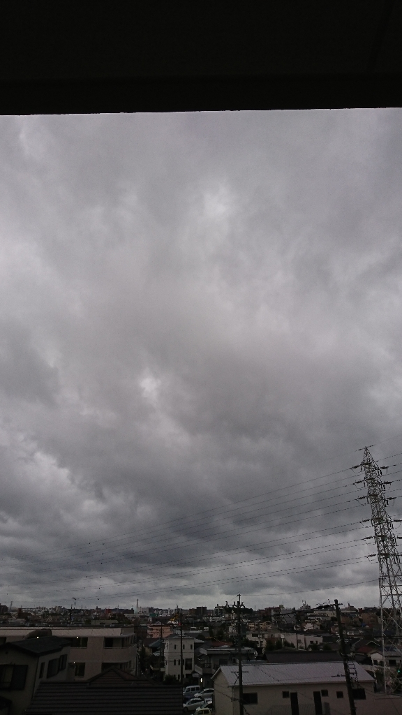 a0074543_16552514.jpg