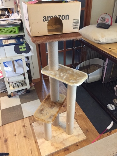 キャットタワー 作ってみた!_c0331145_21124943.jpg