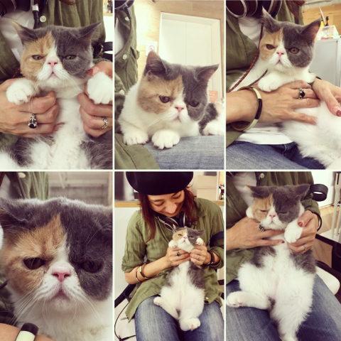 きゃわわわわわ サエキトモ生存確認場 きゃわわわわわ サエキトモ生存確認場