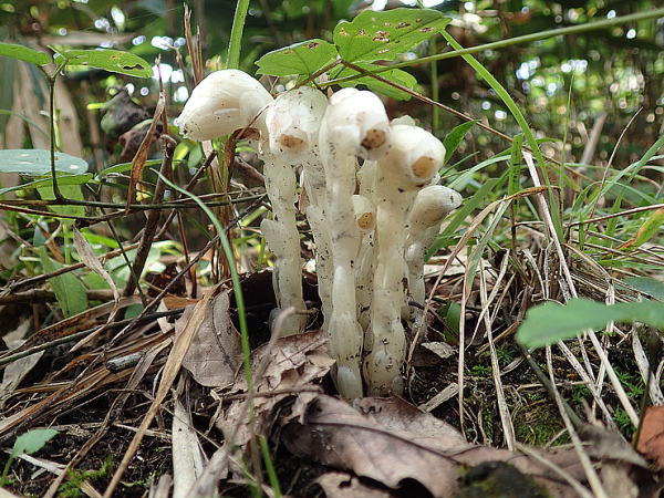 f0214649_16380883.jpg