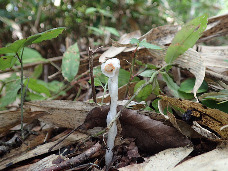 f0214649_16381488.jpg