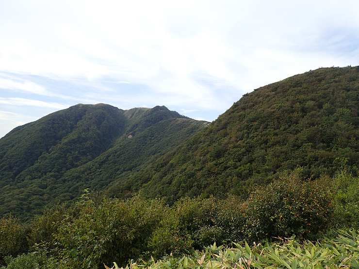 f0214649_16383830.jpg