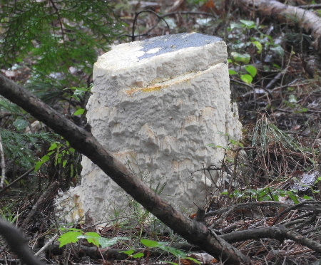 e0172950_19373327.jpg