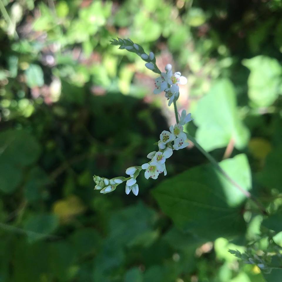 c0115560_12003544.jpg