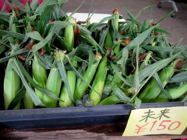 ⑧遅い夏休み * 産直で八ヶ岳の新鮮野菜を買う!_f0236260_18221724.jpg