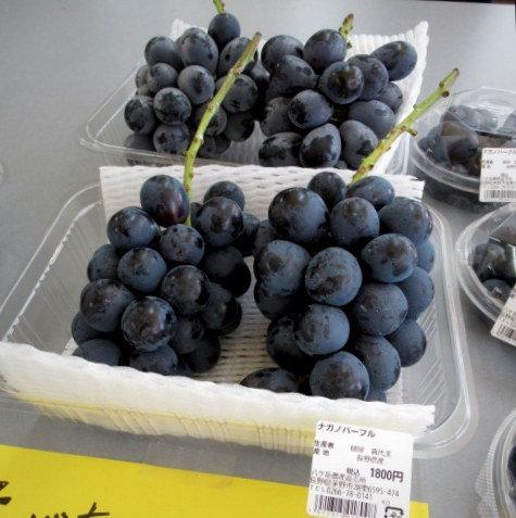 ⑧遅い夏休み * 産直で八ヶ岳の新鮮野菜を買う!_f0236260_18230043.jpg
