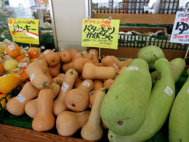 ⑧遅い夏休み * 産直で八ヶ岳の新鮮野菜を買う!_f0236260_18384519.jpg