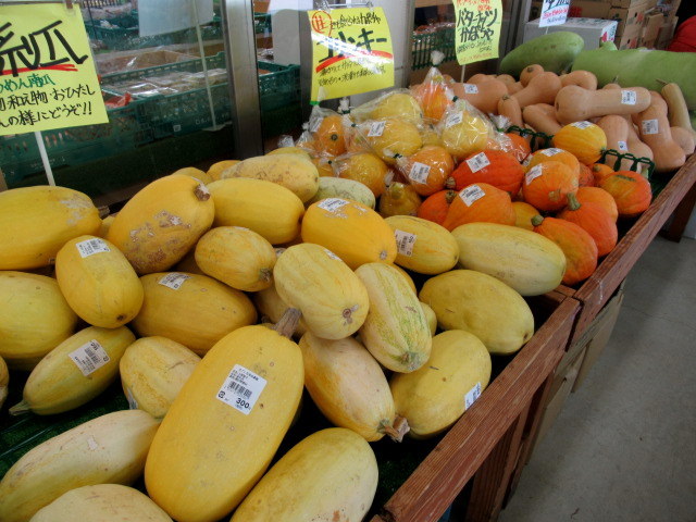 ⑧遅い夏休み * 産直で八ヶ岳の新鮮野菜を買う!_f0236260_18391883.jpg