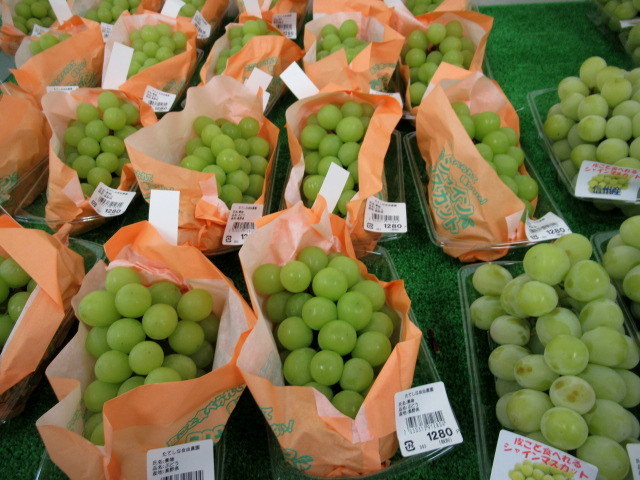 ⑧遅い夏休み * 産直で八ヶ岳の新鮮野菜を買う!_f0236260_18434551.jpg