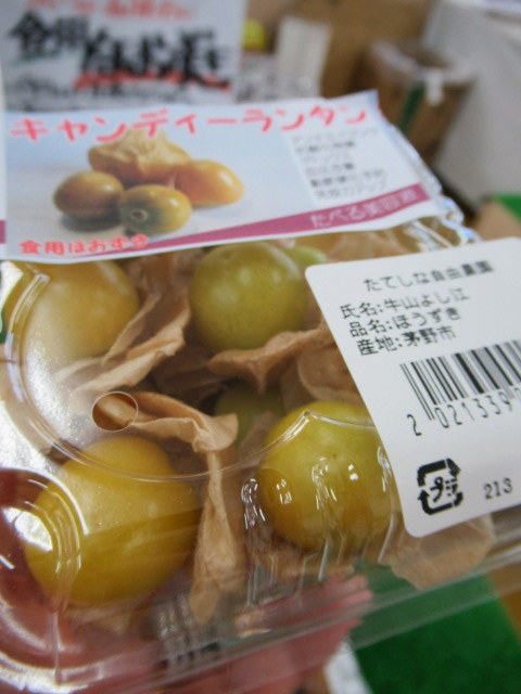 ⑧遅い夏休み * 産直で八ヶ岳の新鮮野菜を買う!_f0236260_18442767.jpg