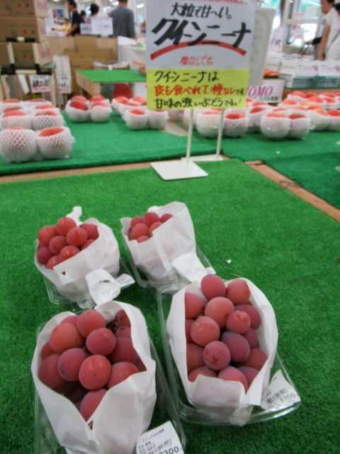 ⑧遅い夏休み * 産直で八ヶ岳の新鮮野菜を買う!_f0236260_18481066.jpg