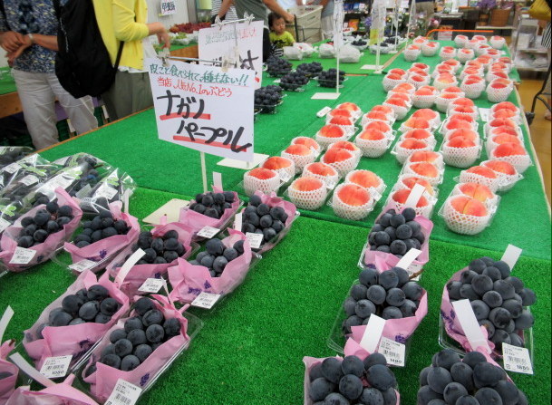 ⑧遅い夏休み * 産直で八ヶ岳の新鮮野菜を買う!_f0236260_18490032.jpg